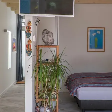 South With Garden And Free Parking Zandvoort