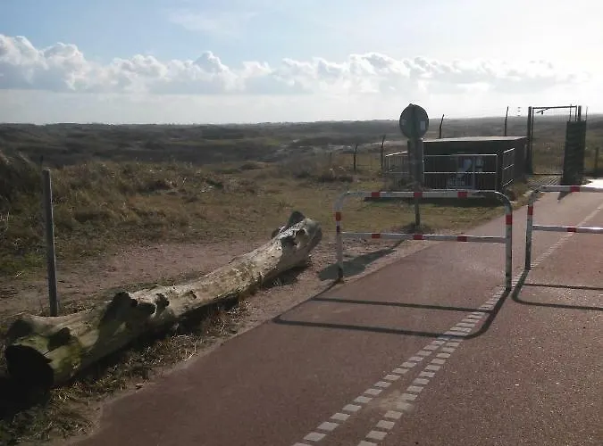 South With Garden And Free Parking Apartment *