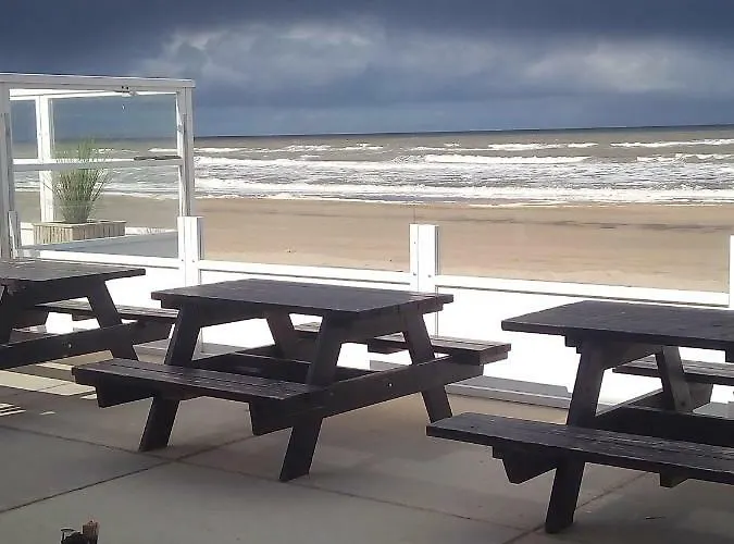 South With Garden And Free Parking * Zandvoort