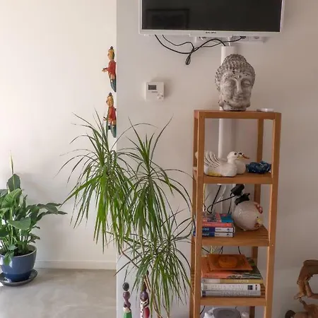 Apartment South With Garden And Free Parking Zandvoort