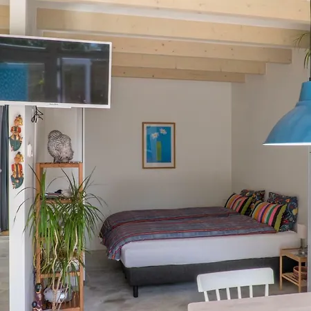 South With Garden And Free Parking