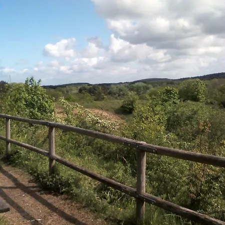 South With Garden And Free Parking * Zandvoort