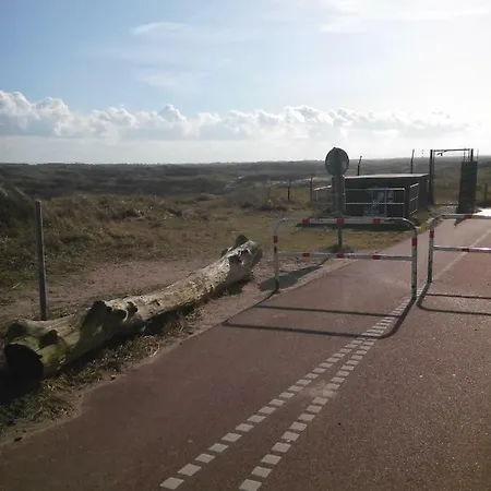 South With Garden And Free Parking Apartment *