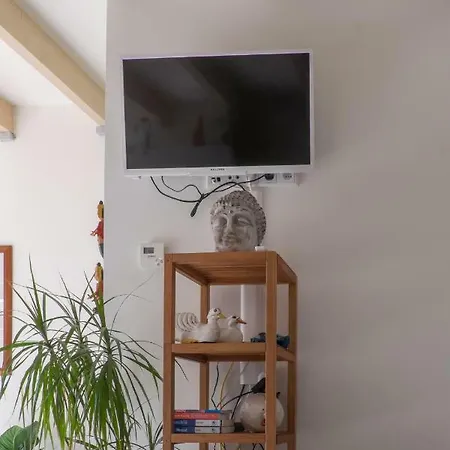 Apartment South With Garden And Free Parking Zandvoort