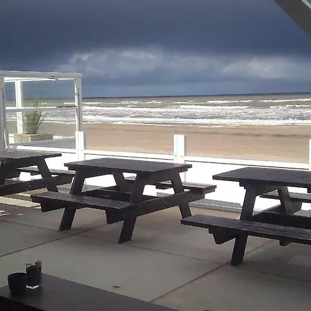 South With Garden And Free Parking * Zandvoort