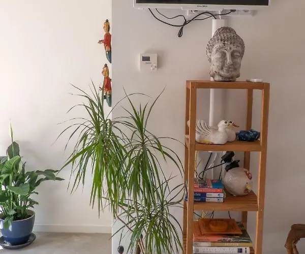 Apartment South With Garden And Free Parking Zandvoort