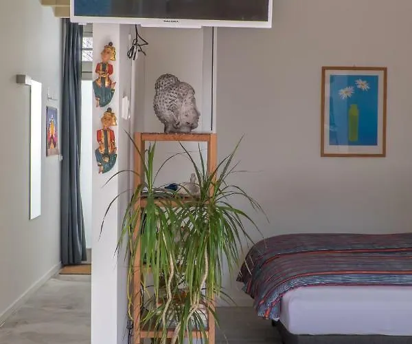 South With Garden And Free Parking Zandvoort