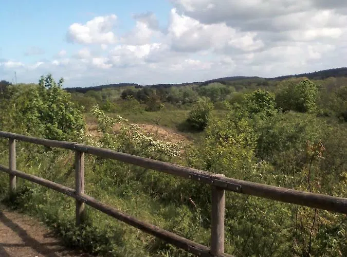 South With Garden And Free Parking * Zandvoort