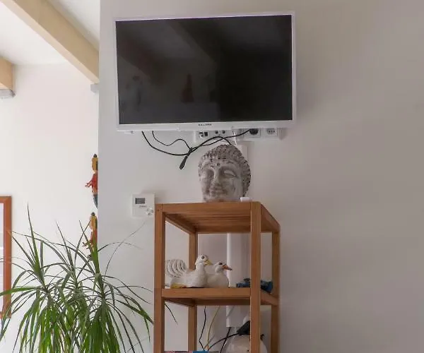 Apartment South With Garden And Free Parking Zandvoort