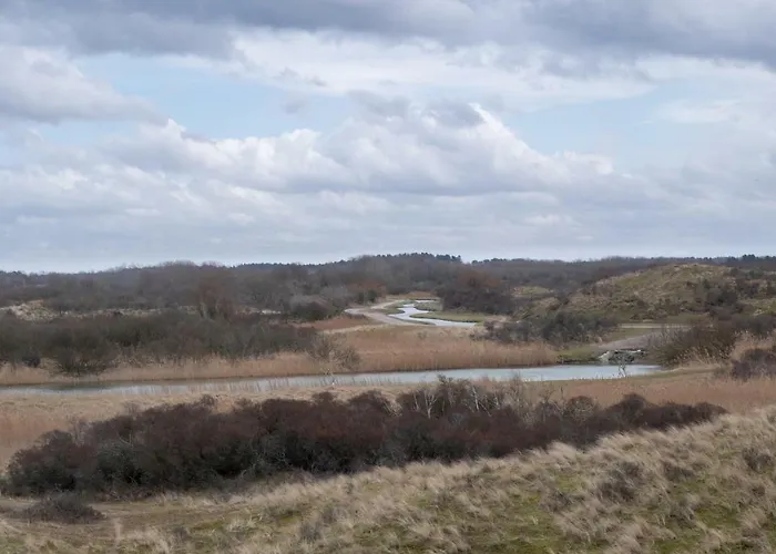 Apartment South With Garden And Free Parking *