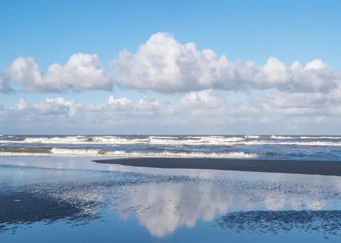 South With Garden And Free Parking Apartment Zandvoort