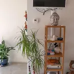 Apartment South With Garden And Free Parking Zandvoort